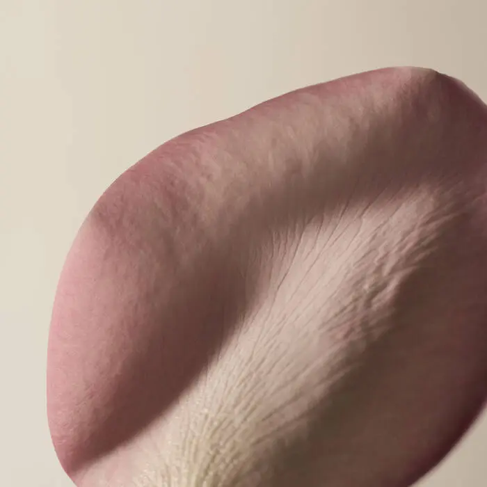 A Rose By Any Other Name Body Cleanser